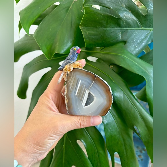 Parrot carving on Agate geode - Picture 3 of 5